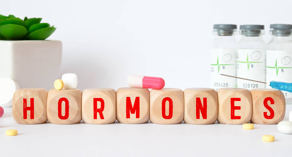 DHEA Supplement: A Comprehensive Guide to the
