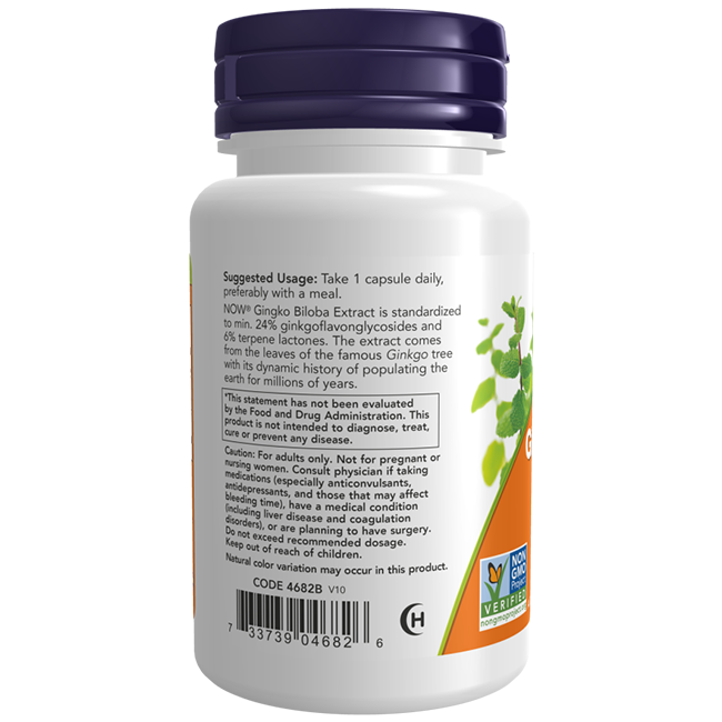 Extrait de Ginkgo Biloba 24% 120 mg 100 capsules végétales