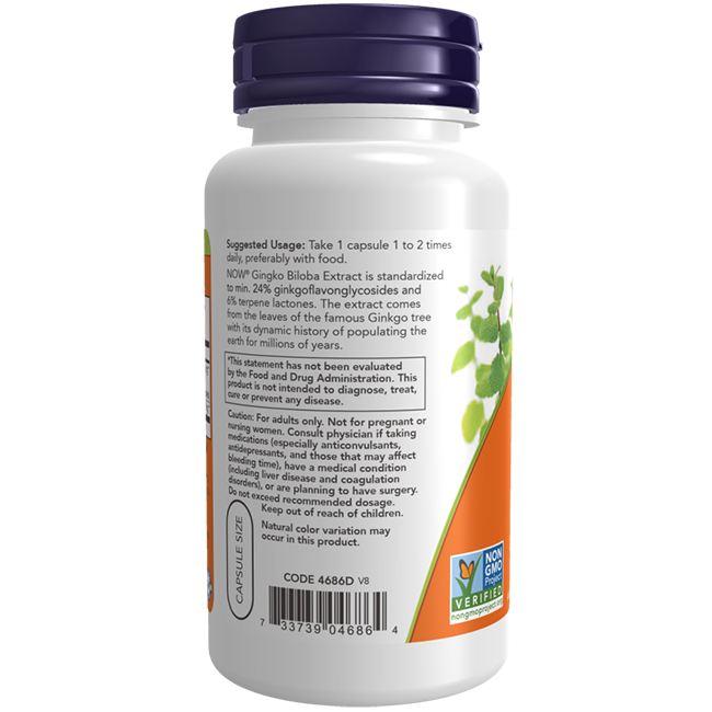 Ginkgo Biloba Extract 60 mg 120 Veg Capsules