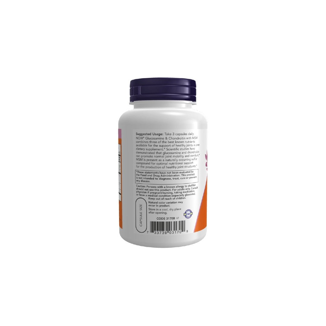 Glucosamine & Chondroitin with MSM 90 Vegetable Capsules - back