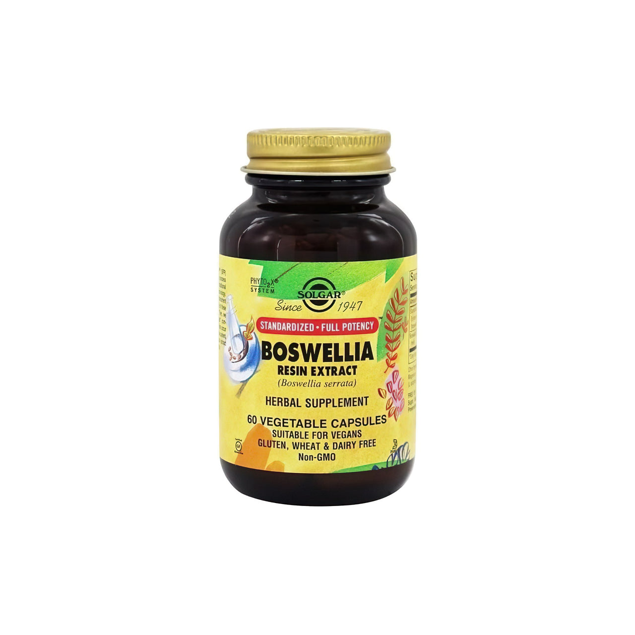 SFP Boswellia Resin Extract 60 Vegetable Capsules - front