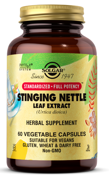 A bottle of Solgar Stinging Nettle Leaf Extract 60 vegetable capsules, known for its potential benefits in weight loss and metabolism regulation, as well as its potential use in supporting kidney health.