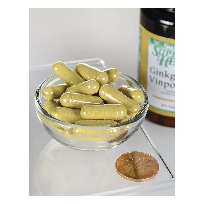 Ginkgo met Vinpocetine 60 Capsules