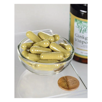 Thumbnail for Ginkgo met Vinpocetine 60 Capsules