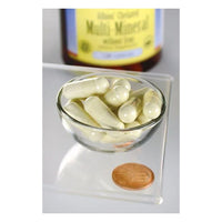 Thumbnail for Multi-Mineral zonder IJzer Albion - 120 capsules