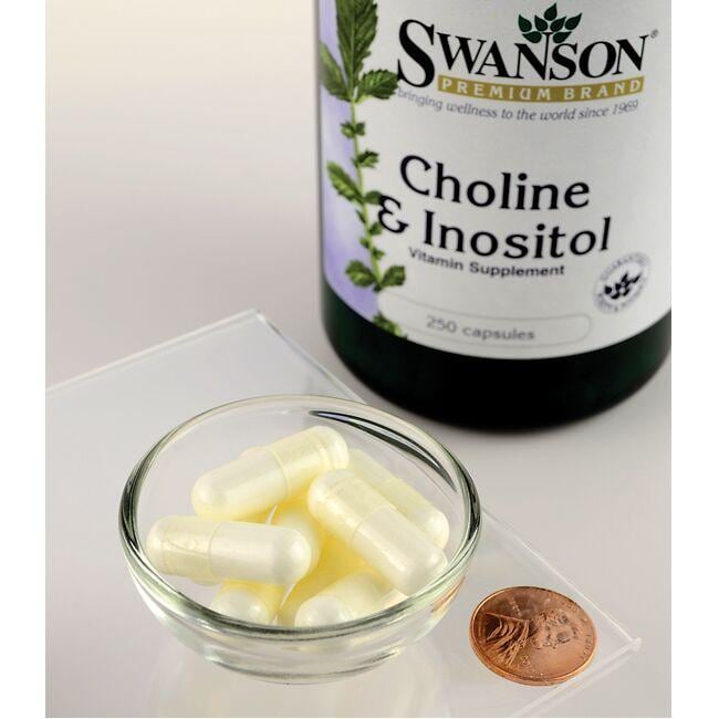 Swanson Choline - 250 mg & Inositol - 250 mg capsules.