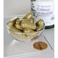 Thumbnail for Swanson Coleus Forskohlii - 400 mg 60 capsules in a bowl next to a penny.