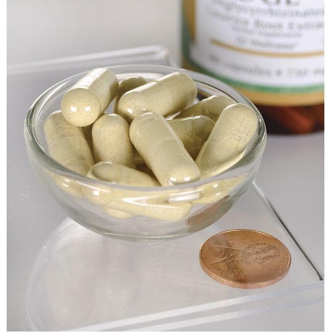DGL Deglycyrrhizinated Licorice - 750 mg 90 capsules by Swanson in a bowl next to a penny.