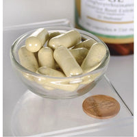 Thumbnail for DGL Deglycyrrhizinated Licorice - 750 mg 90 capsules by Swanson in a bowl next to a penny.