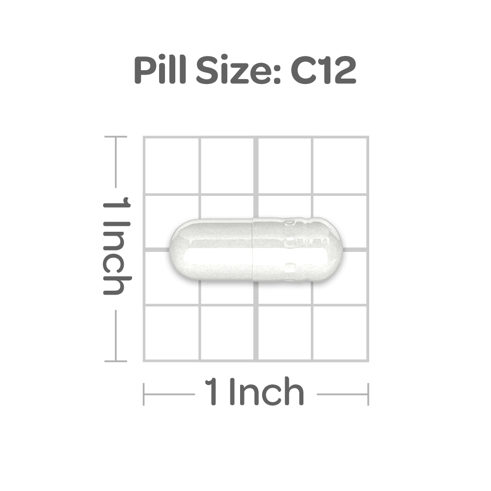 Probiotic 10 plus Vitamin D3 1000 IU 60 caps - pill size